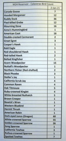 birdcount2jan2021.jpg