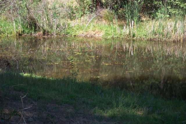 photo8.jpg
